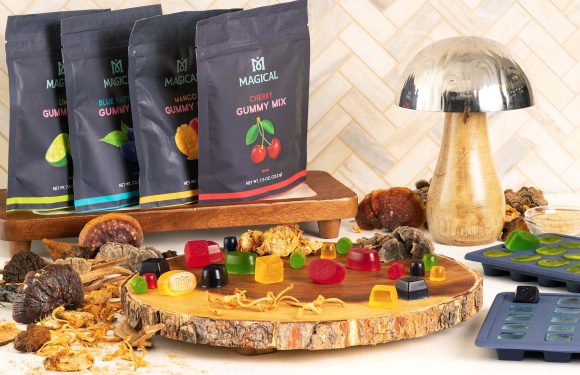 How mushroom gummies are redefining culinary experiences?