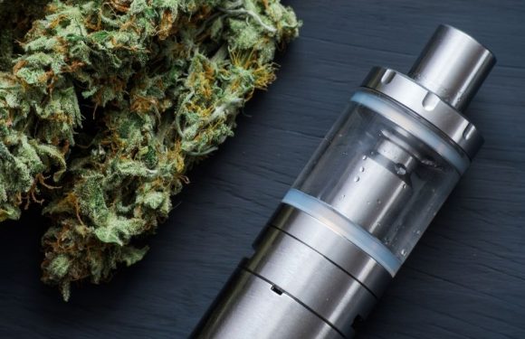 Weed Tech – Taking your pen experience to the next level