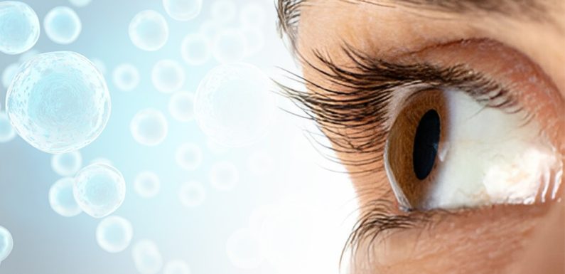 Affordable Pathways to Brighter Vision: The Value Proposition of Stem Cell Therapy for Optic Nerve Atrophy in India