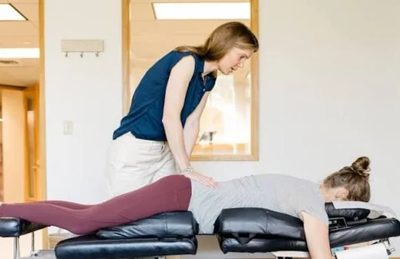 Webster Technique Adjustments for Third Trimester Pelvic Balance
